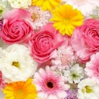 北野平小学校【花壇グループ】