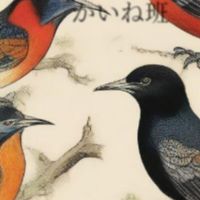 リア充爆発団体支部　かいね班　　鳥の集い