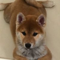 贏溜贏溜♥︎