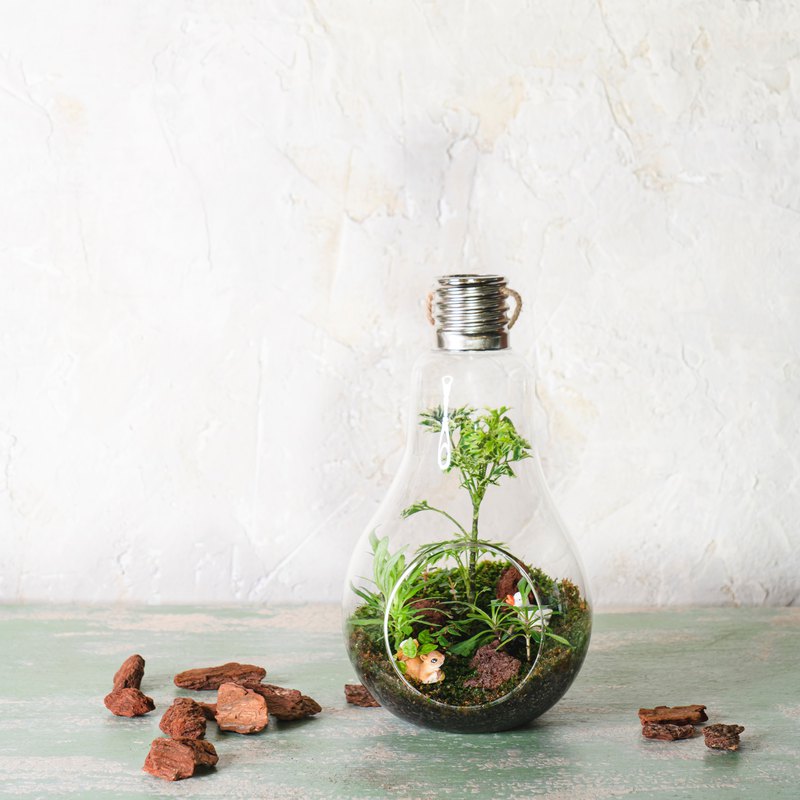 ＊療癒生態微景觀 ＊燈泡造型玻璃容器 ＊可愛小動物公仔