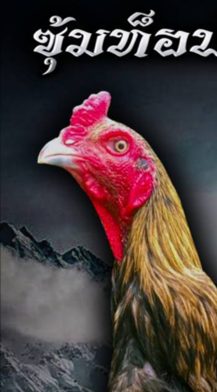 ซุ้ม ท็อปเจริญฟาร์ม โคราช