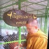 เมืองบนฟาร์ม สายพันธุ์ดีเดือด