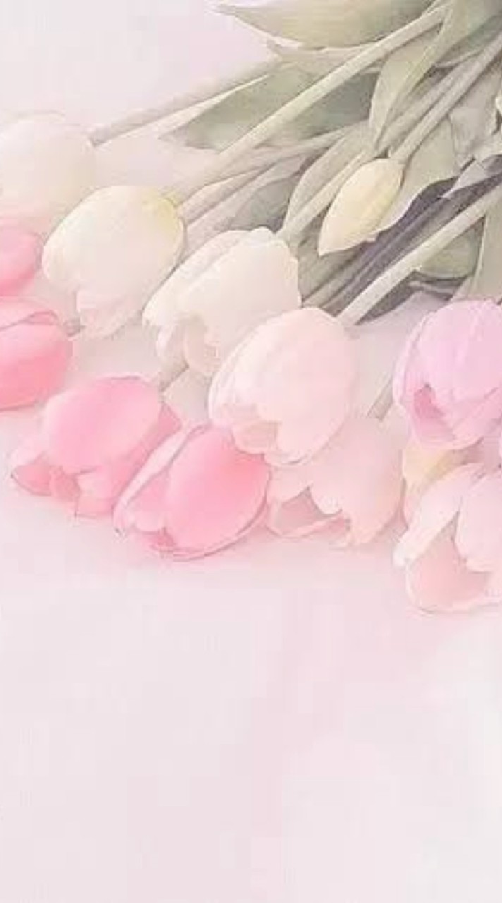 激ゆる‼️　全緩也ハント　‼️