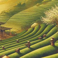 走讀南港茶山研習群