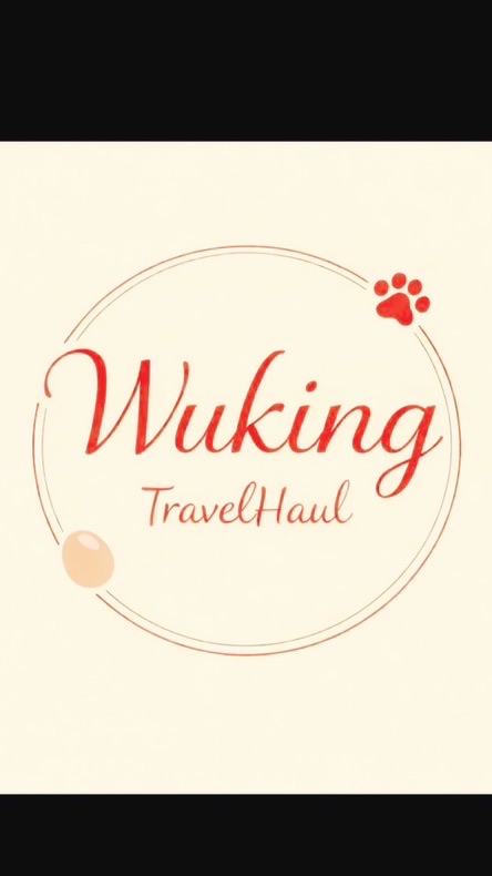 WuKing✈️