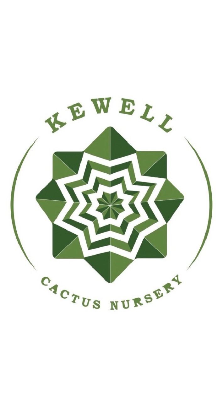 Kewell Cactus_TH