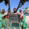 透殼天堂