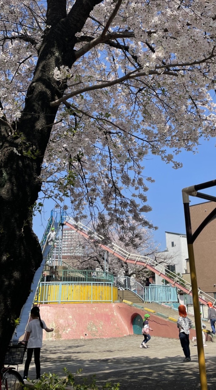 プロボノ自治会からのお知らせ