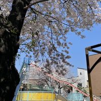 プロボノ自治会からのお知らせ