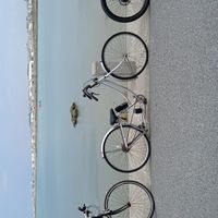 【自転車】自転車走り屋 音響 誰でも！