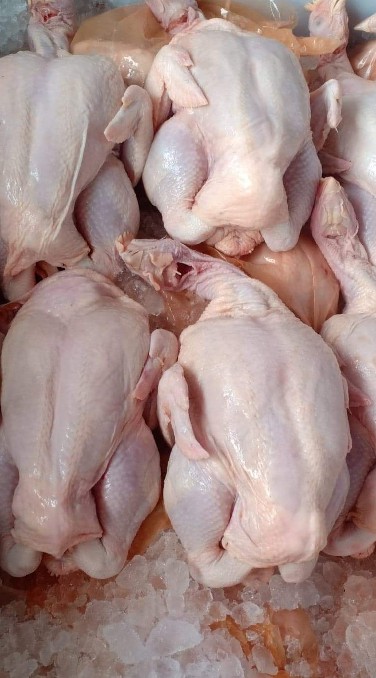ไก่สด ปลีก-ส่ง ตรงจากโรงงาน