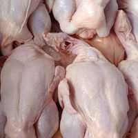 ไก่สด ปลีก-ส่ง ตรงจากโรงงาน