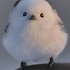 ブロスタ　3000トロ目指してる人かもーん！！