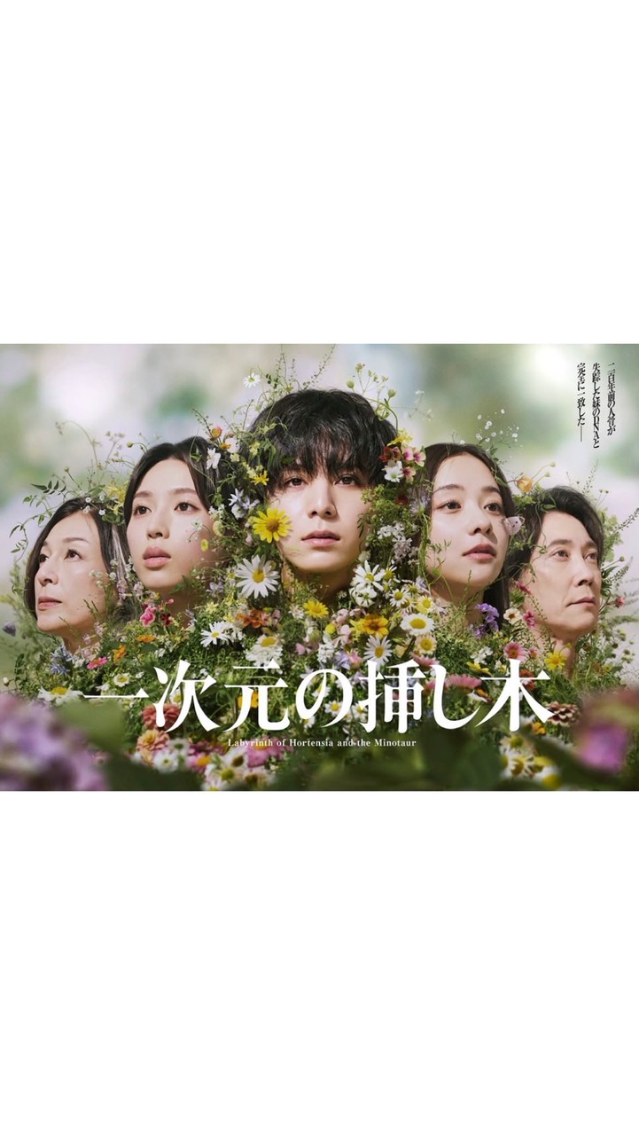 一次元の挿し木  〖2026’夏〗