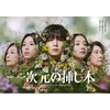 一次元の挿し木  〖2026’夏〗