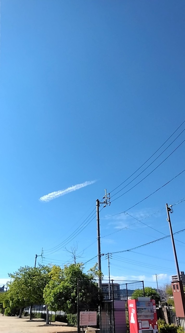あつまれ6ー1