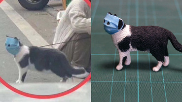 太狂了！網路爆紅出現防疫「口罩貓」，日本神人手工製作高還原度「奇葩立體模型」！