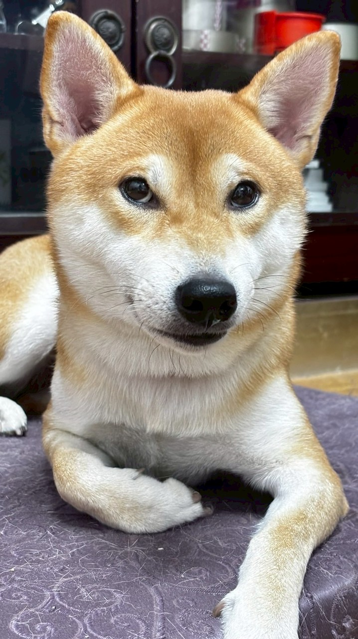 2025瘋狂跨年之旅