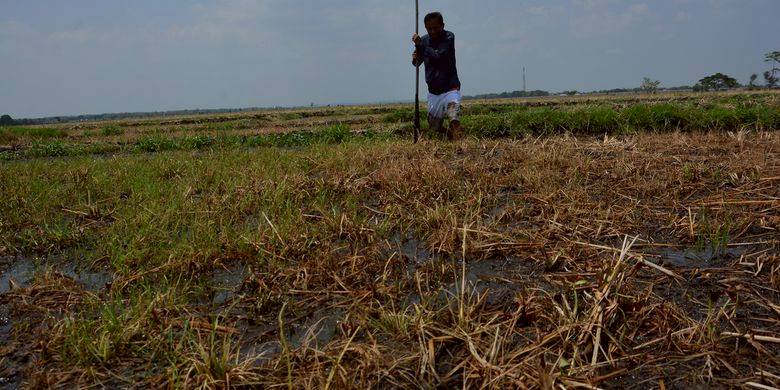 Fenomena Unik Tanah Di Jombang Bergoyang Saat Diinjak Kompas Com Line Today