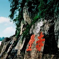 杜康TDR自救會