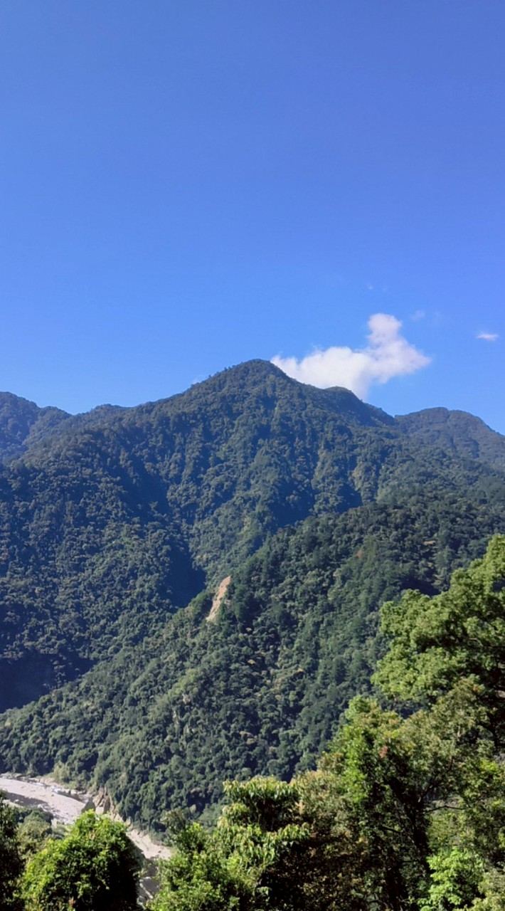 新手越野跑，大肚山野跑團