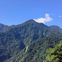 新手越野跑，大肚山野跑團（含定向越野）
