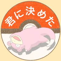 ◓君に決めた