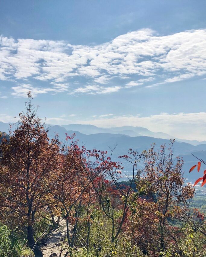 九九峰森林步道 九九峰森林步道｜南投草屯第一景，結合自然生態與藝術氣息的環狀森林步道! 11 2022