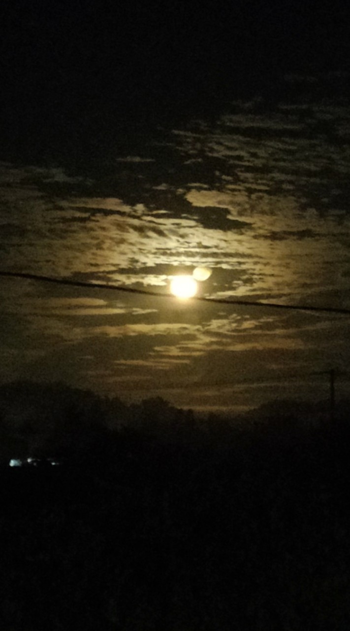 Society Pailin