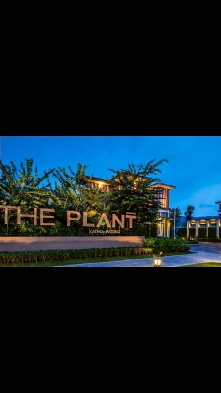 THE PLANT KATHU-PHUKET