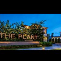 THE PLANT KATHU-PHUKET