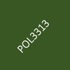 POL3313