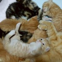 友達になろうよ