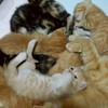 友達になろうよ