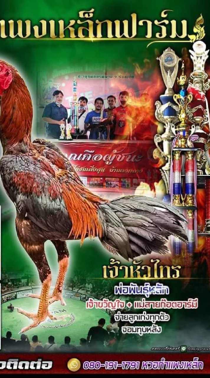 จอนฟอนไฟ สังกัดซุ้ม กำเเพงเหล็ก