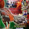 จอนฟอนไฟ สังกัดซุ้ม กำเเพงเหล็ก