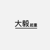 大毅起重