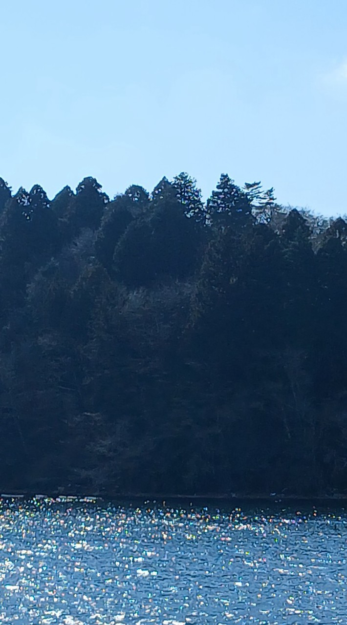 みんなの相談室
