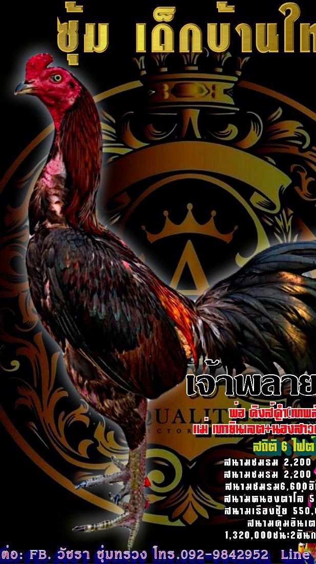 บ้านใหม่ FC