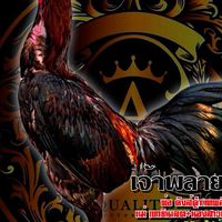 บ้านใหม่ FC
