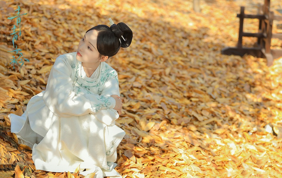 熱播甜寵劇古裝女神6：呂小雨 飾演《青青子衿》聞人雋