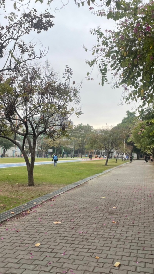 新上406聊天哈拉群