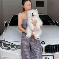 Brandbysu
