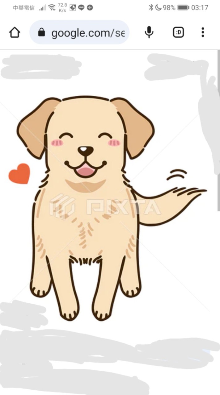🐶淡水新市鎮的養狗同好