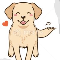 🐶淡水新市鎮的養狗同好