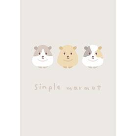 シンプル_モルモット