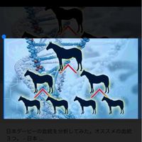 ブラエビ-新競馬予想チャット