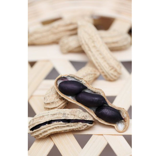 【商品特色】 花生職農吳啟魯手種【黑金剛花生】 花生顆粒粒粒飽滿、有著甜香脆口感 雲林票選十大伴手禮得獎品牌 彼得館長碎碎念 元長鄉花生達人吳啟魯先生手種黑金剛花生，當令新鮮採收，經過兩道人工程序認真