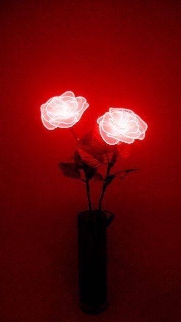 สัตตบงกช ❤️‍🔥