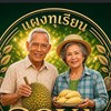 แผงทุเรียนโปย่า POYA